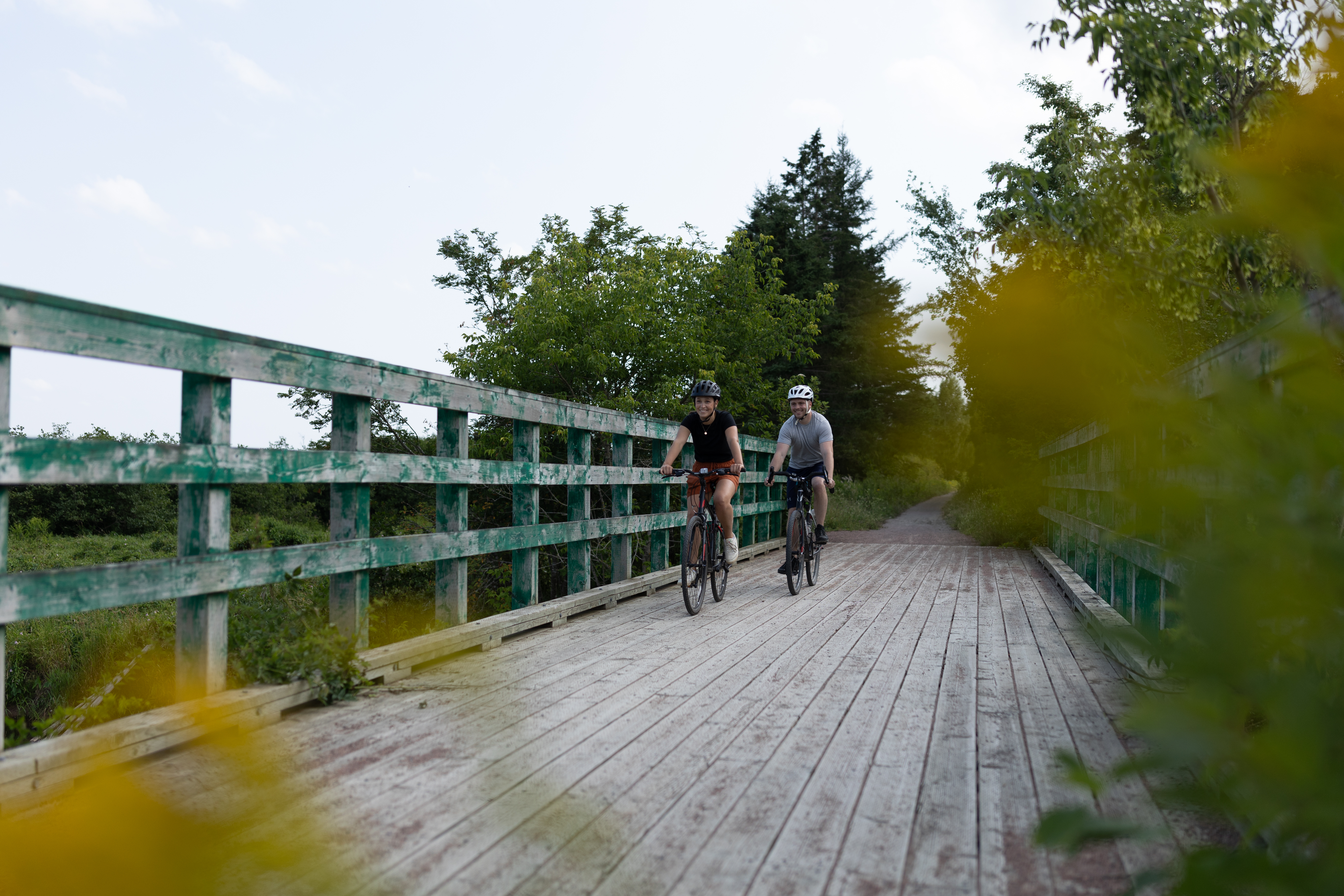 People biking on a trail