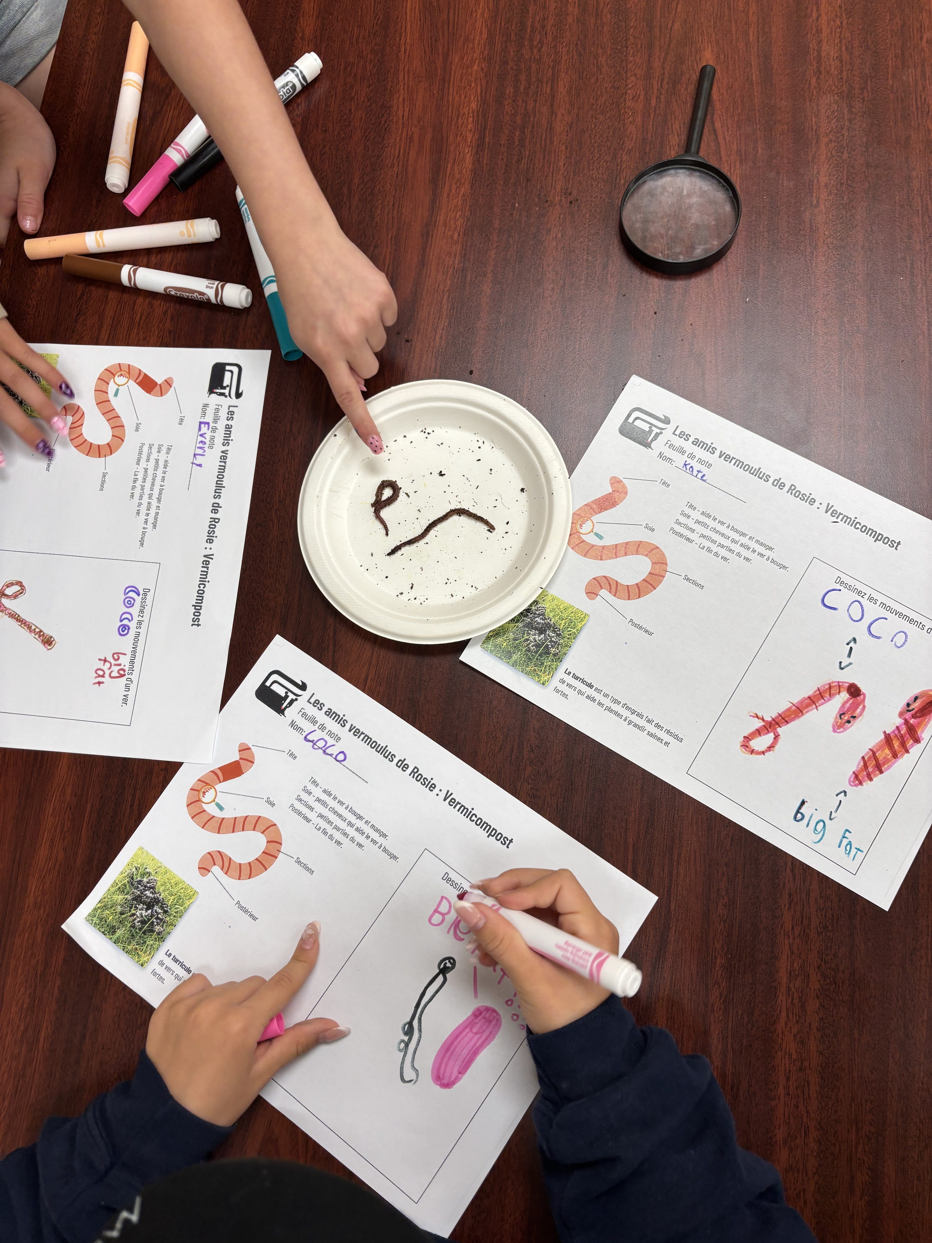 Kids doing some homework about worms and composting